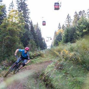 Kein Trail in den Alpen ist sicher vor Dir? Dann sind die Explorer Hotels die perfekten Basislager für Dich und Dein Bike. Entdecke jetzt die Trails der Alpen in Deinem Sommerurlaub.