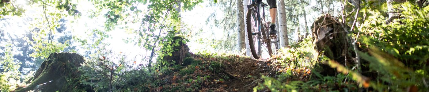 Mache Deinen Sommer zum Bike-Erlebnis! Grüne Wälder im Bike-Urlaub in Kitzbühel in Österreich. Jetzt Urlaub im Sommer in Tirol planen, zum Beispiel im Explorer Hotel in St. Johann.