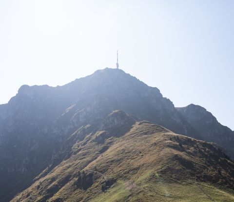 La montagna locale dell'Explorer Hotel Kitzbühel vi offre numerose opportunità per escursioni a piedi e in bicicletta durante le vostre vacanze estive.