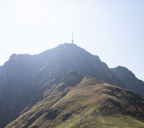 Lokalna góra hotelu Explorer Kitzbühel oferuje wiele możliwości uprawiania turystyki pieszej i rowerowej podczas letnich wakacji.