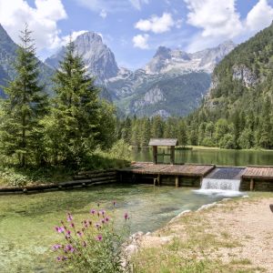 Der Schiederweiher im Sommer