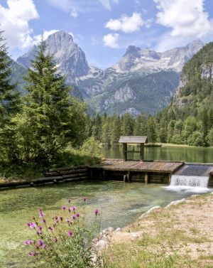 Der Schiederweiher im Sommer