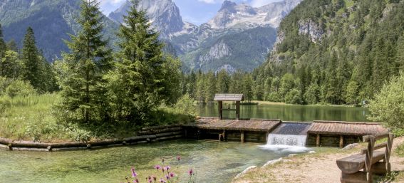 Der Schiederweiher im Sommer