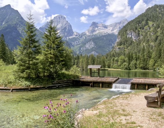 Der Schiederweiher im Sommer