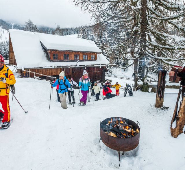 On the move with snowshoes