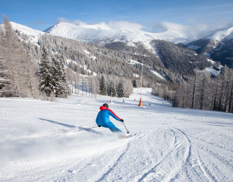On skis through the winter landscape