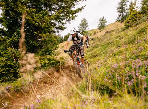 Stezky kolem Bad Kleinkirchheimu