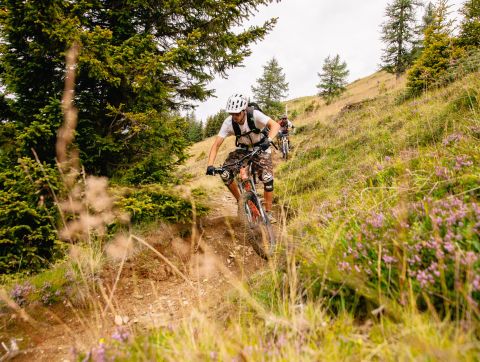 Are you ready for new bike adventures?