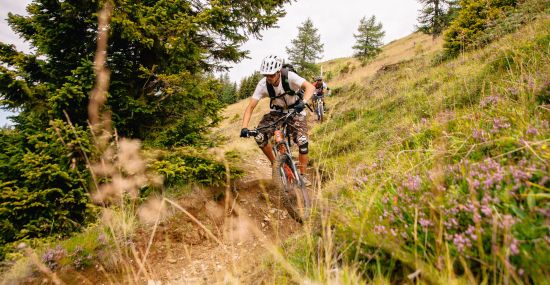 Are you ready for new bike adventures?
