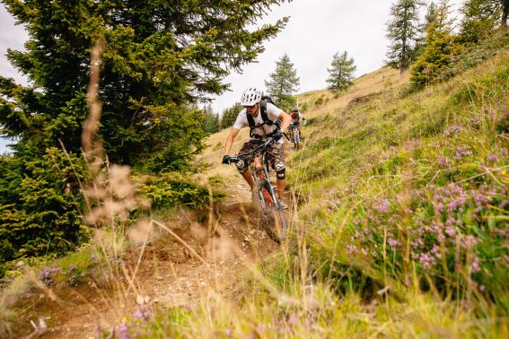 Are you ready for new bike adventures?