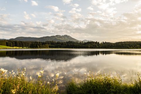 Letnie wakacje w Allgäu. Nesselwang to idealne miejsce na piesze wędrówki, jazdę na rowerze i po prostu relaks na łonie natury. Zarezerwuj rodzinne wakacje w Allgäu i ciesz się wolnym czasem.