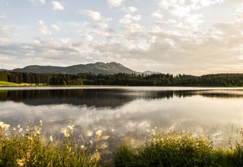 Vacanze estive in Algovia. Nesselwang è il luogo ideale per escursioni a piedi, in bicicletta e semplicemente per rilassarsi nella natura. Prenotate una vacanza in famiglia in Algovia e godetevi il vostro soggiorno.