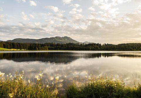 Summer vacation in the Allgäu. Nesselwang is the perfect place for hiking, biking, and simply relaxing in nature. Book a family vacation in the Allgäu and enjoy your time away.