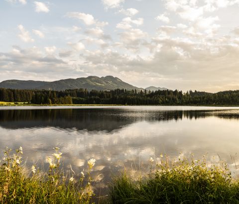 Vacances d'été dans la région de l'Allgäu. Nesselwang est l'endroit idéal pour la randonnée, le vélo et tout simplement pour se détendre en pleine nature. Réservez vos vacances en famille dans l'Allgäu et profitez pleinement de votre séjour.