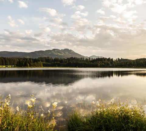 Letní dovolená v Allgäu. Nesselwang je ideálním místem pro pěší turistiku, cyklistiku a prostě jen relaxaci v přírodě. Rezervujte si rodinnou dovolenou v Allgäu a užijte si svůj čas.
