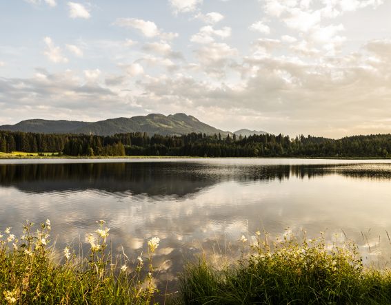 Sommerurlaub im Allgäu. Nesselwang ist der perfekte Ort zum Wandern, Radfahren und einfach in der Natur entspannen. Familienurlaub Allgäu buchen und die Auszeit genießen.