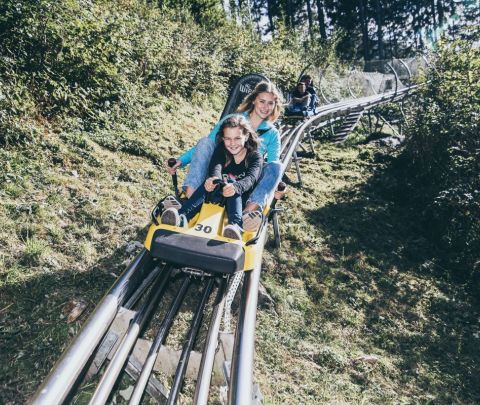 La descente de la montagne est rapide – une excursion idéale pendant les vacances.
