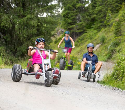 Bij de Mountain Cart in Montafon beleven avonturiers van alle leeftijden een belevenis die ze nog lang zullen onthouden!