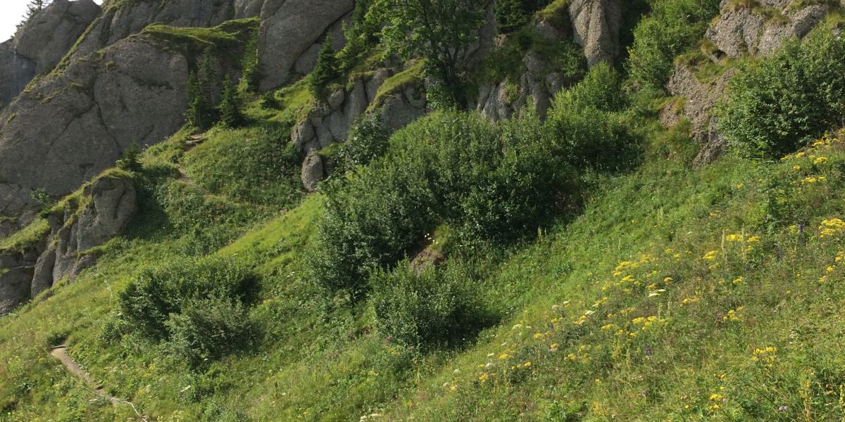 Wandern im Naturpark Nagelfluhkette