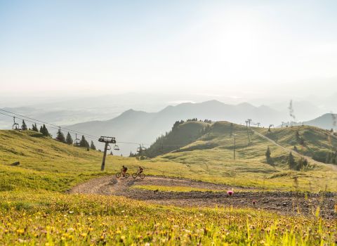 Ten widok wynagradza wspinaczkę