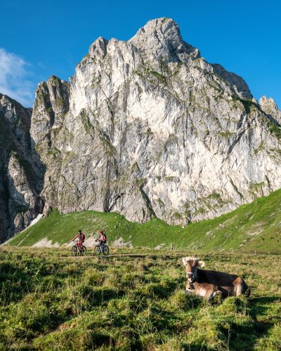 Kiedy wybierasz się na następną wycieczkę rowerową?