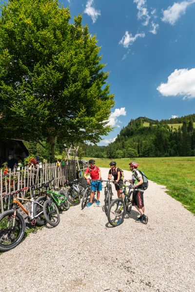 Bereit für die MTB Strecke?
