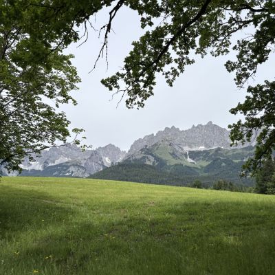 🌳