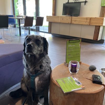 Super Urlaub mit Hund im Explorer in Montafon.