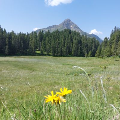 Herrlicher Blick