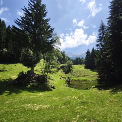 Abseits gängiger Wanderwege 🌲🏔️🌲😄