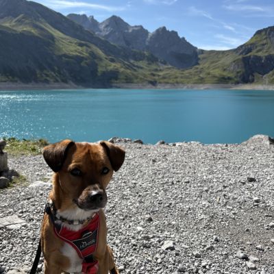 Wandern am Lünersee mit Oskar!