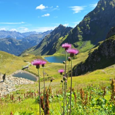 Natur pur am Hochjoch