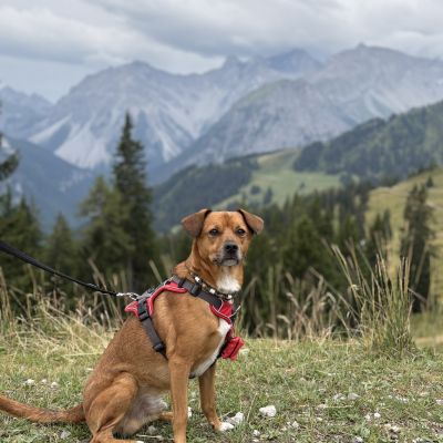Wandern mit Oskar🫶🏻
