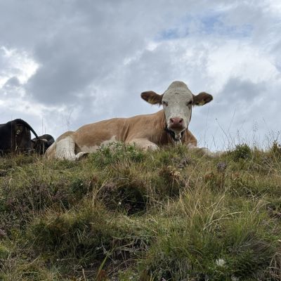 Natursprünge-Weg Alpe Parpfienz🥰