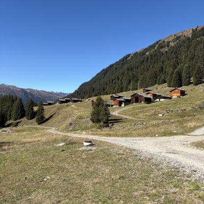 Valschaviel