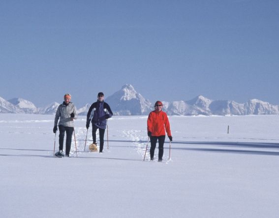 Spazierengehen mal anders?! Warum nicht! Schneeschuhe an und die Winterlandschaft erkunden....