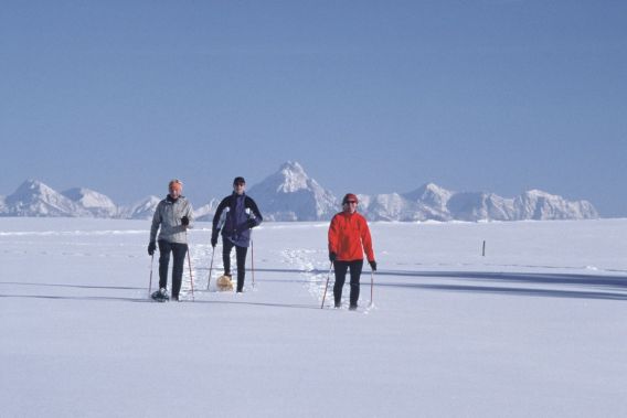 Spazierengehen mal anders?! Warum nicht! Schneeschuhe an und die Winterlandschaft erkunden....