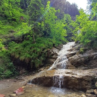 Nesselwang