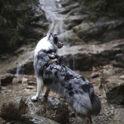 Wasserfallweg🌊