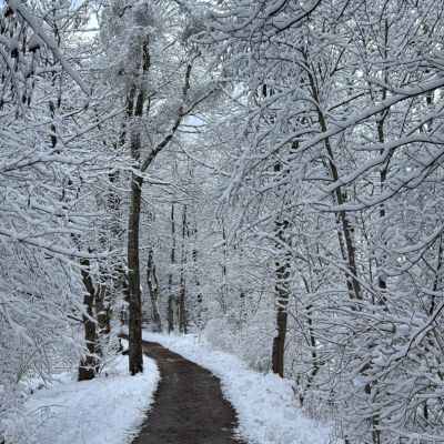 Einen Schönen Tag im Nesselwang