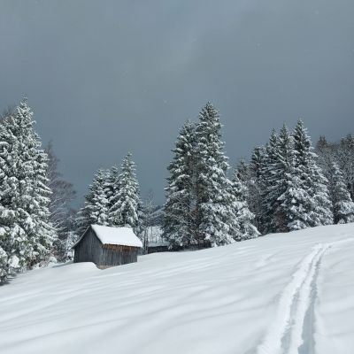 Kein Aprilscherz, nur schön🤩