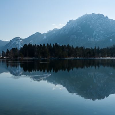 Schwansee am Morgen