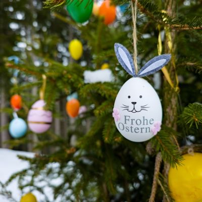 Zu sehen am Drachenköpfle 🐰