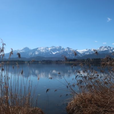 Hopfensee <3