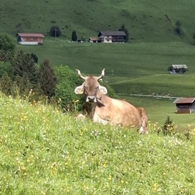 Heute auf dem Weg nach Nesselwang