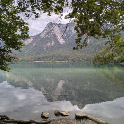 Alpsee Rundweg