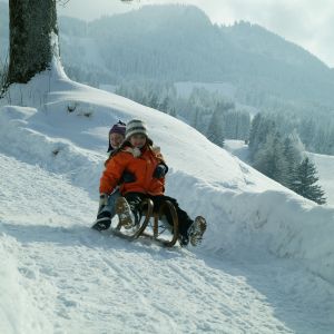 Sleeën van de berg