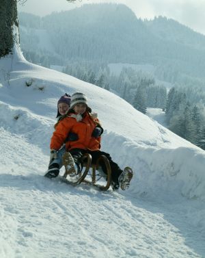 Mit dem Schlitten den Berg hinunter