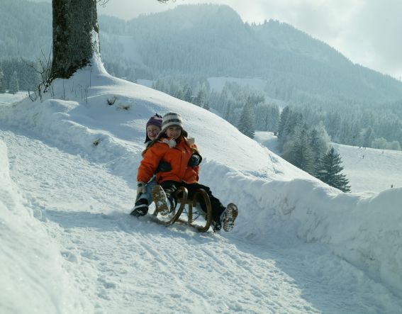 Rodelspass in den Bergen Mit dem Schlitten den Berg hinunter
