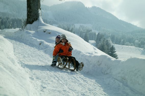 Rodelspass in den Bergen Mit dem Schlitten den Berg hinunter